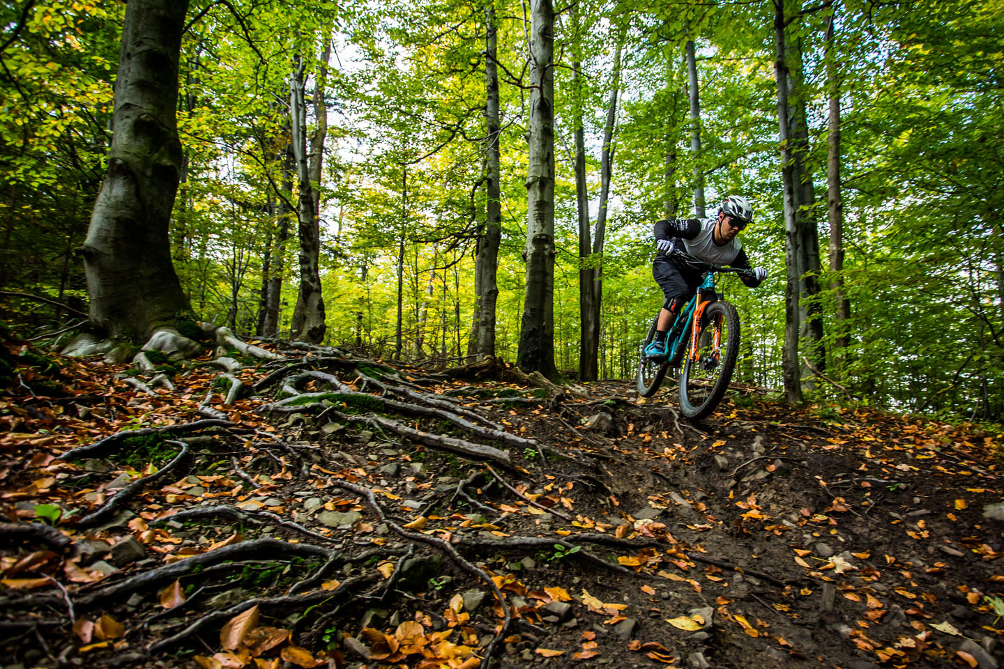 Ilustracja do SZKOLENIE WEEKENDOWE W BIELSKU-BIAŁEJ